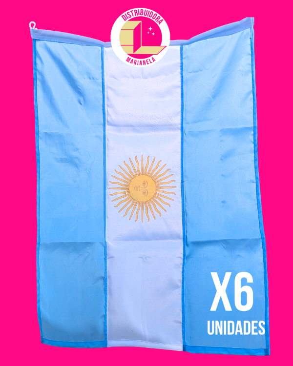 Producto - Bandera Argentina Mediana - Pack x6 unidades