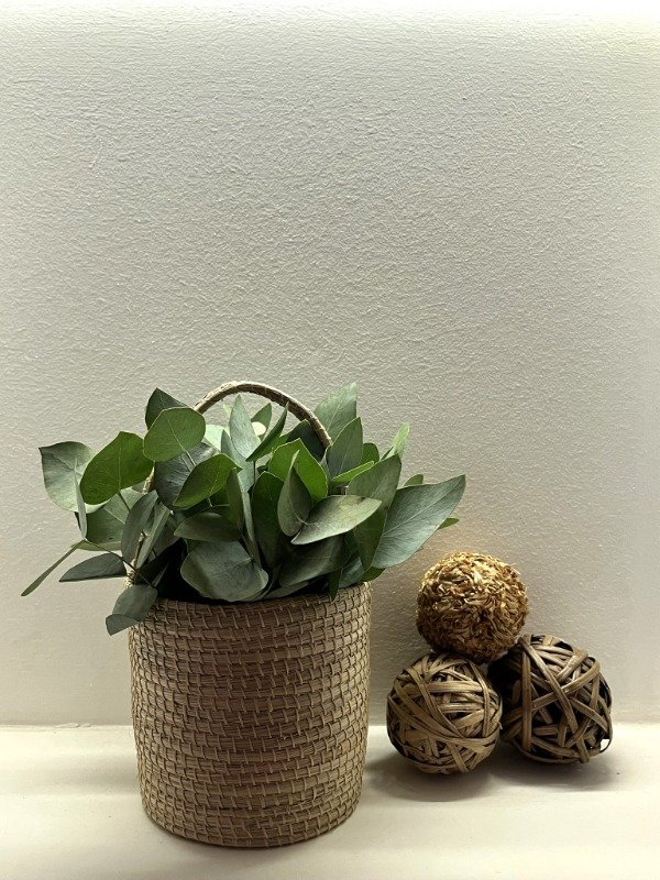 Producto - Canastita Gaya