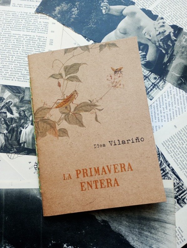 Producto - LA PRIMAVERA ENTERA de Idea Vilariño - 0