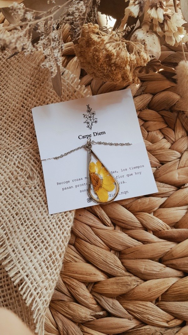 Producto - Collar Onésimo