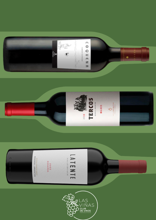 Producto - Suscripción Brotación: Mes De Enero