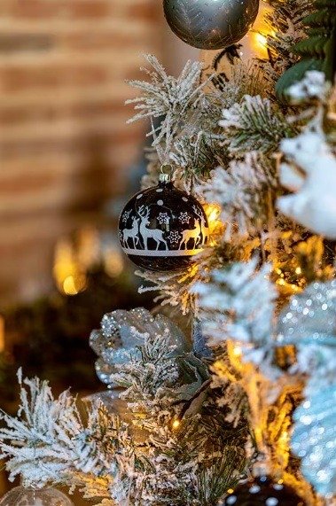 Producto - ESENCIA NAVIDAD NORDICA (PINO Y JENGIBRE)