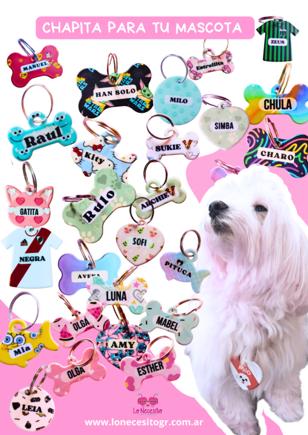 Producto - Chapita identificatoria para mascotas