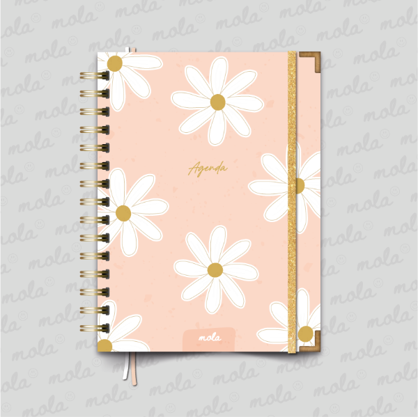 Producto - Agenda Perpetua - Cod006