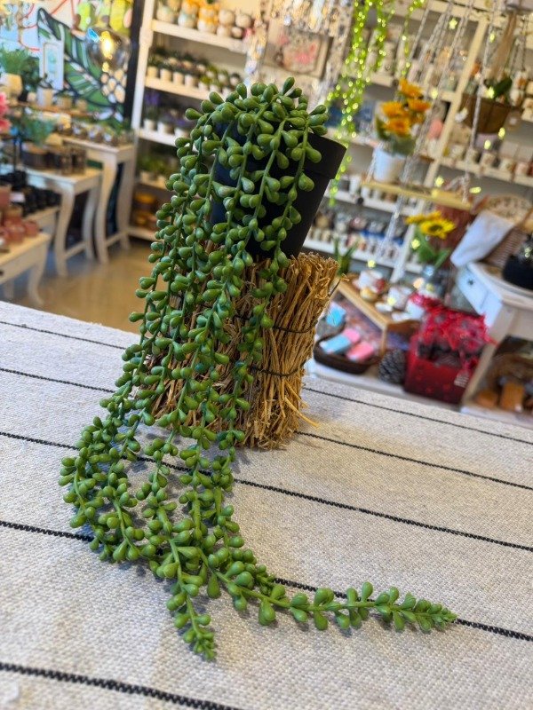 Producto - Caida Rosario con maceta 50 cm ( Efectivo: 14.000)