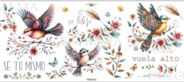 Producto - ALMA BOHEMIA TRANSFER TIRA025