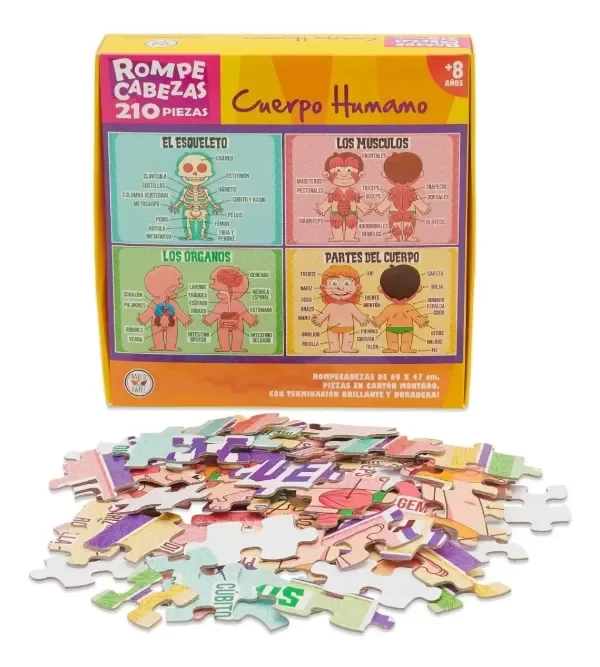 Producto - CUERPO HUMANO PUZZLE / BARCO DE PAPEL