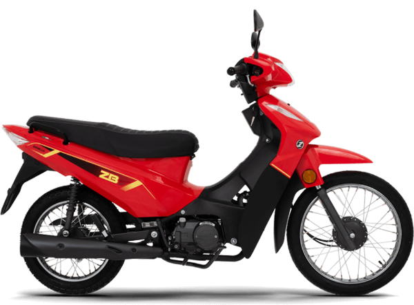 Producto - ZANELLA ZB Z3 110 ST