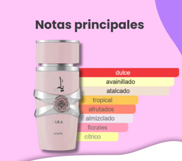 Producto - Yara de LATTAFA - 2