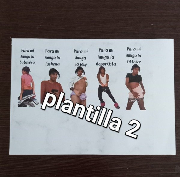 Producto - Plantilla 2 la pelo