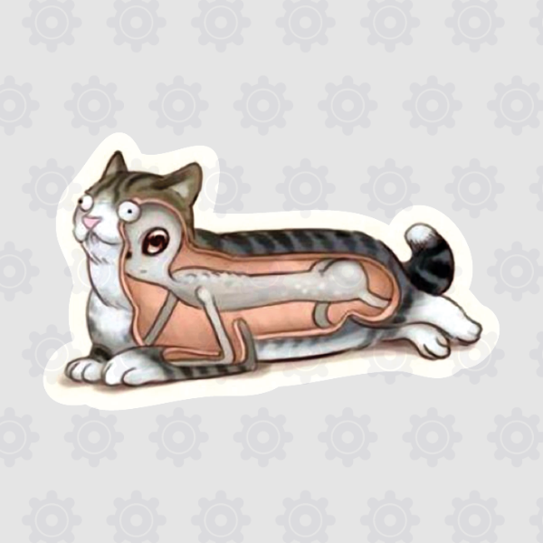 Producto - CA-012 Gato Alien