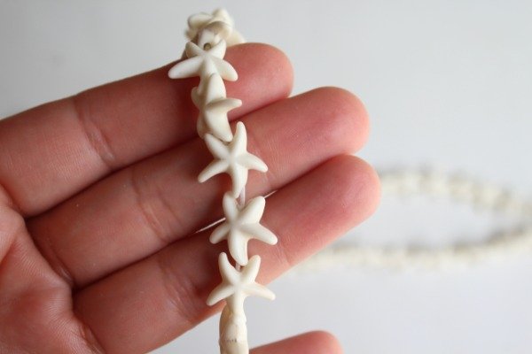 Producto - Estrellas de Mar Natural