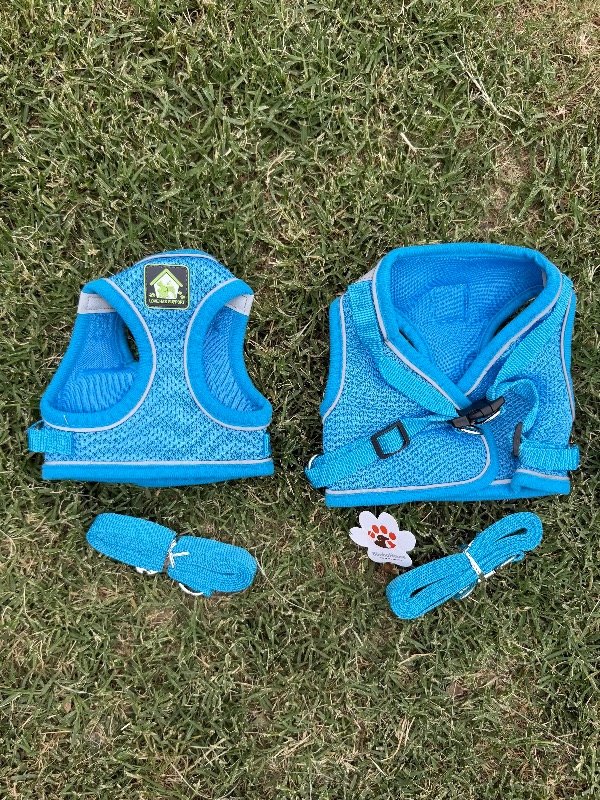 Producto - Pretal Azul