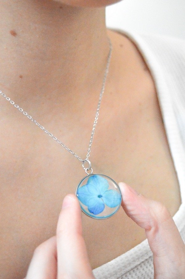 Producto - Hortensia Celeste