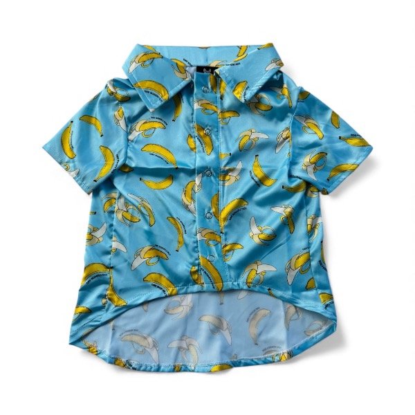 Producto - Camisa de seda celeste Dog Fashion