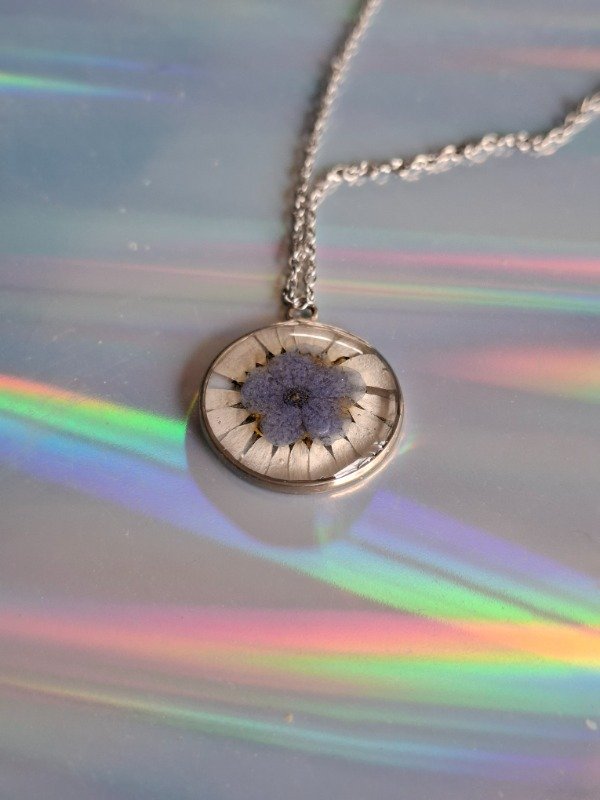 Producto - margarita y cielo