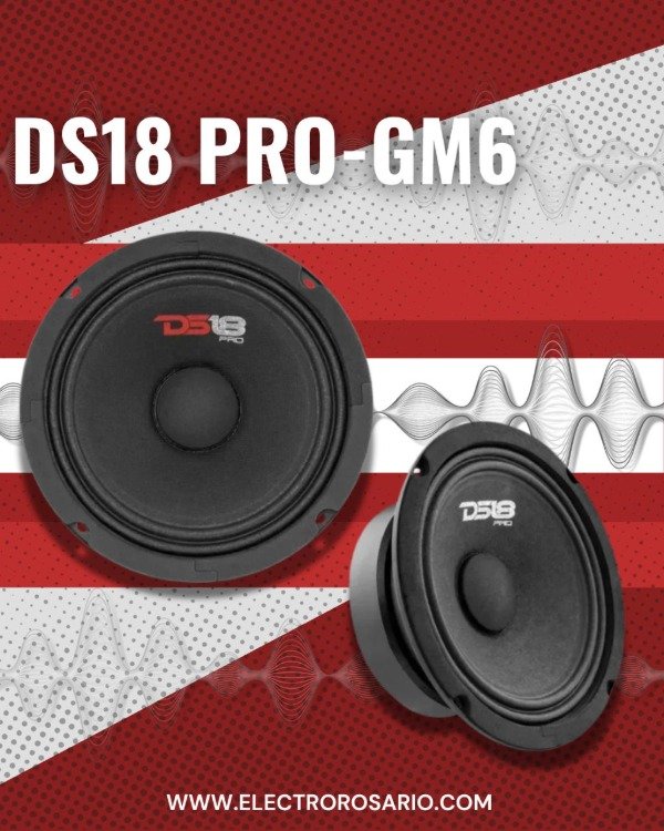 Producto - DS18 PRO-GM6