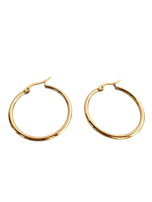 Producto - Aros Kina (COD 529)