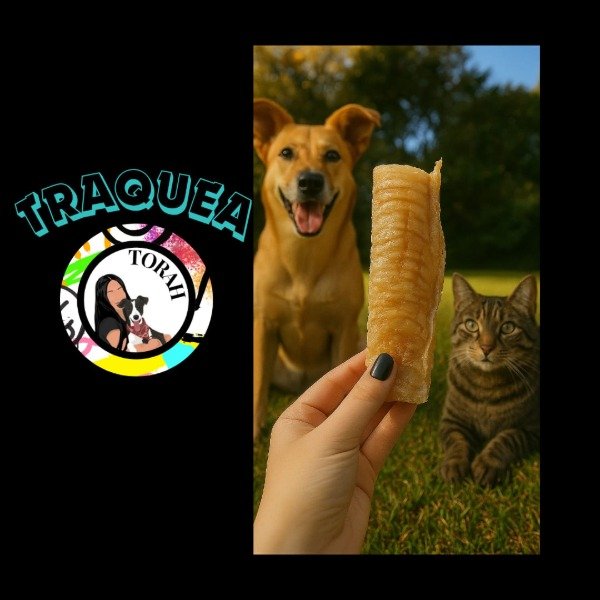 Producto - Traquea x2