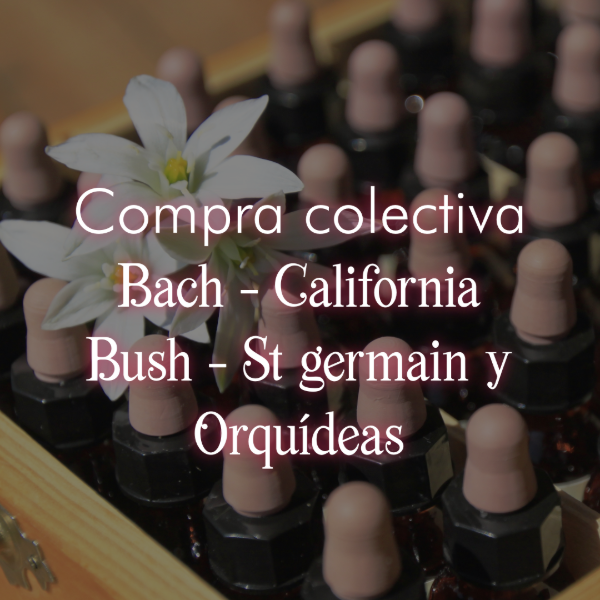Producto - ENVIO COMPRA COLECTIVA - 2025