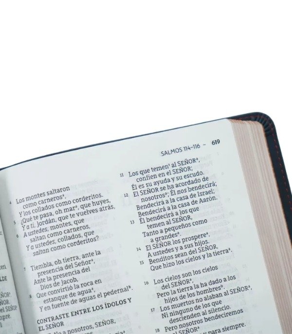 Producto - BIBLIA NBLA ULTRAFINA LETRA GRANDE - Imitación Piel Azul - 4