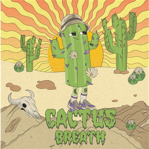 Producto - Cactus Breath