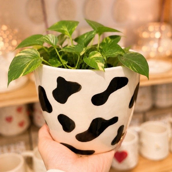 Producto - Maceta vaquita