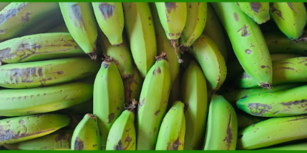 Producto - BANANAS ORGÁNICAS