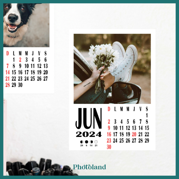 Producto - Calendario Polaroid x 12 meses (RD)