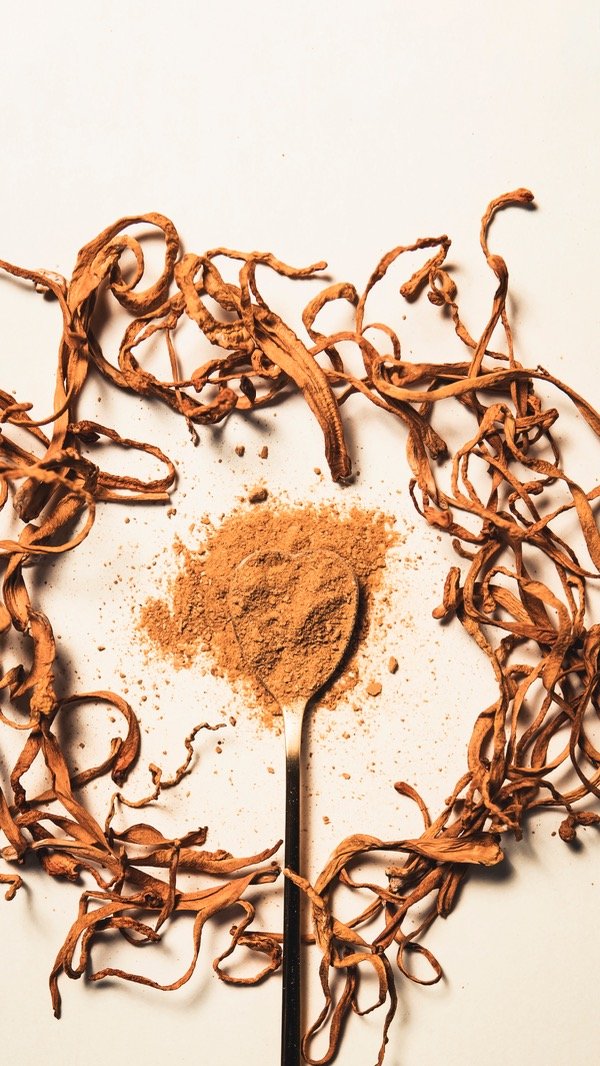 Producto - CORDYCEPS x60