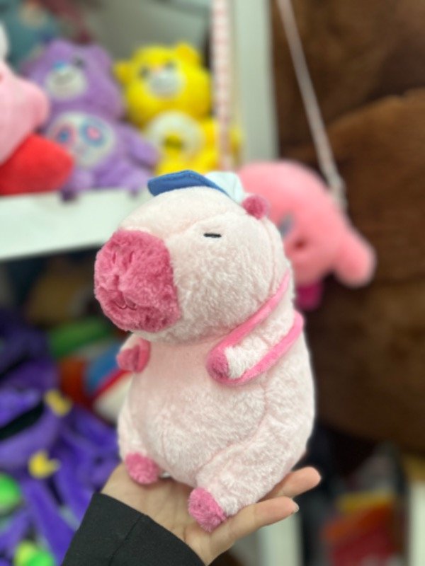 Peluches - Mundo Peluche Y Más 2