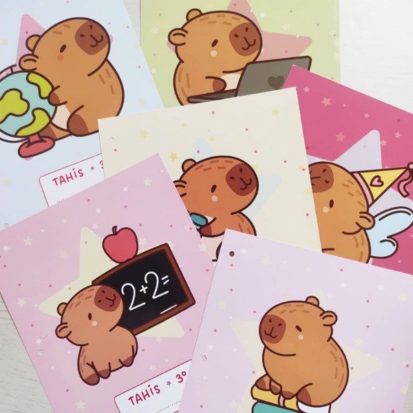 Producto - Separadores de carpeta N 3