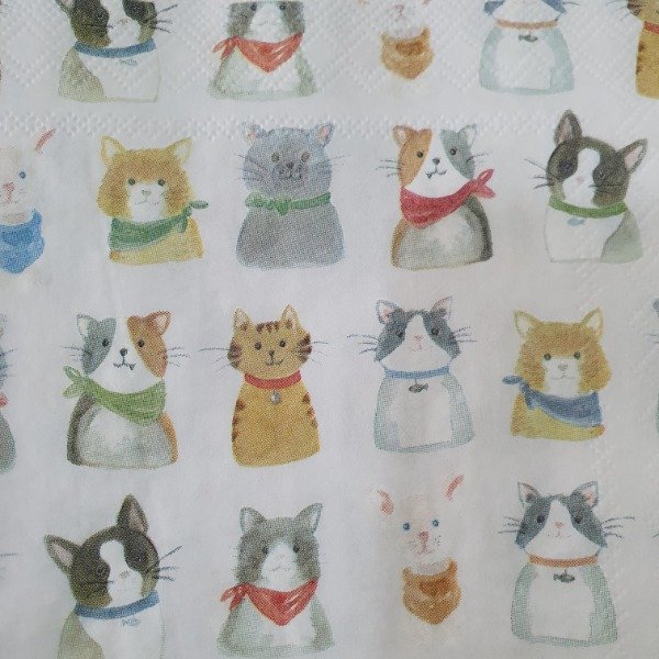 Producto - Gatitos Corte Ingles