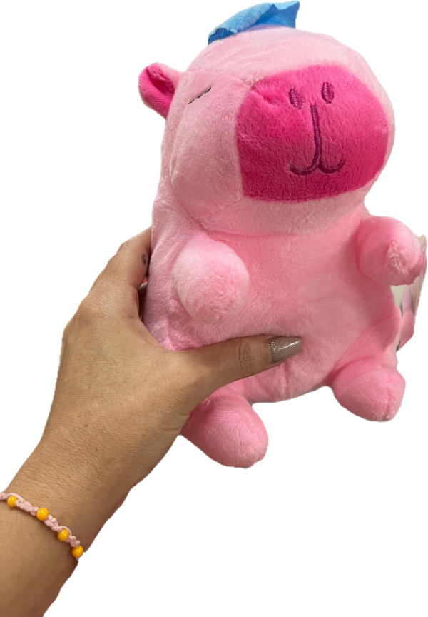 Producto - Peluches de Capibara