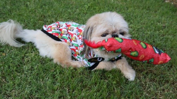 Miniatura de producto - 1