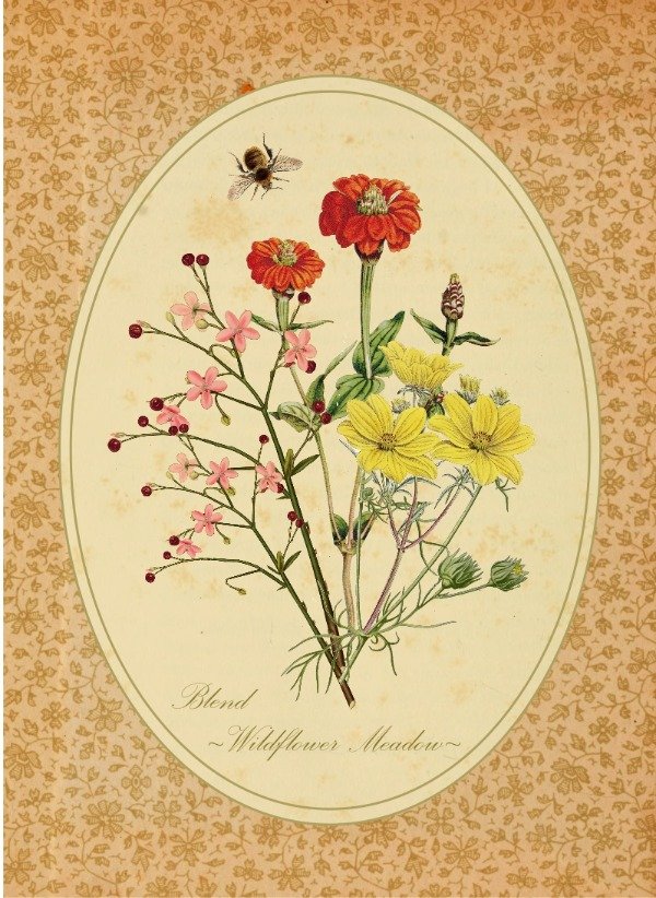 Producto - Blend "Wildflower Meadow"