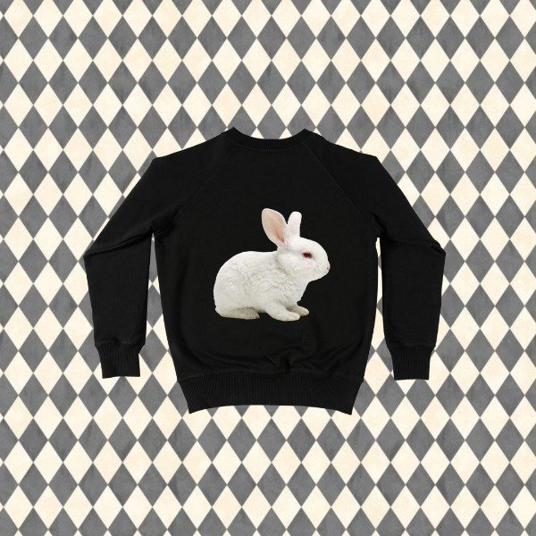 Producto - buzo bunny - 1