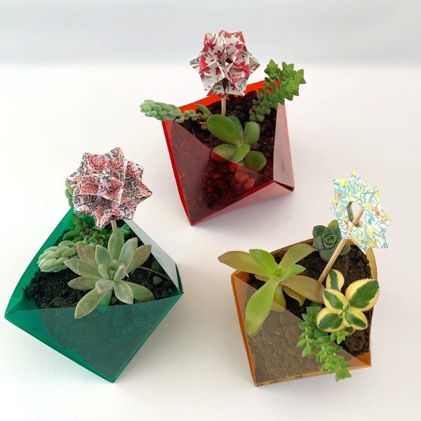 Producto - Macetas plegadas sin planta