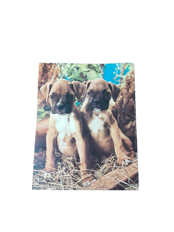 Miniatura de producto - 8