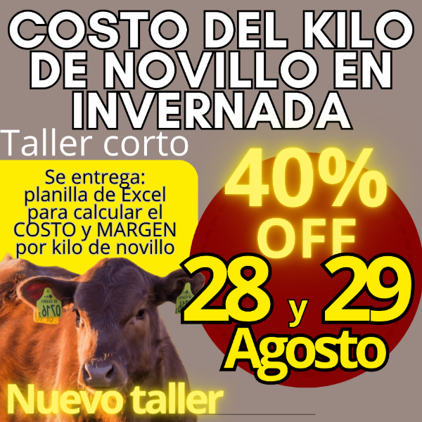 Producto - Taller corto: cálculo del costo del kilo de novillo - 0