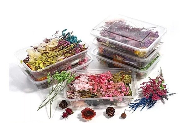 Producto - FLORES SECAS CAJITA