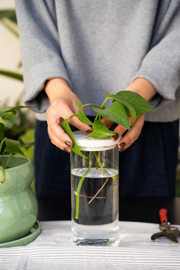 Producto - Hydro con tapa de terrazo