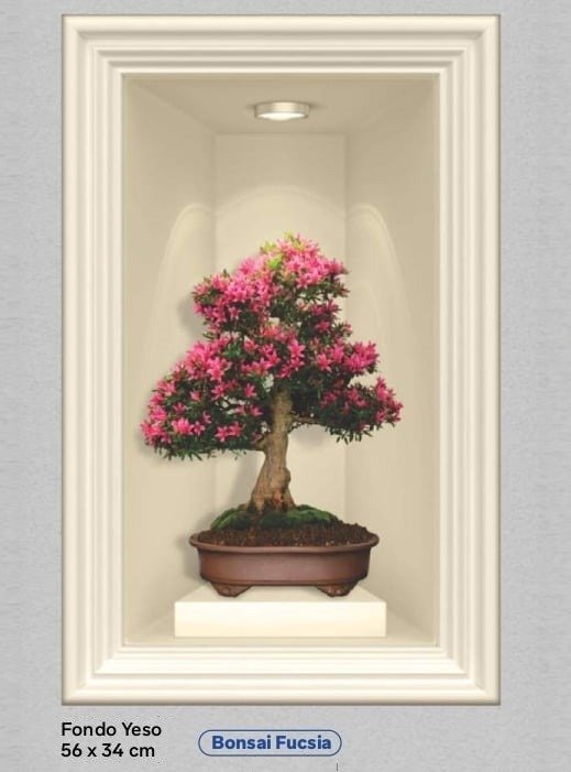 Producto - 134 vinilo cuadro  bonsai