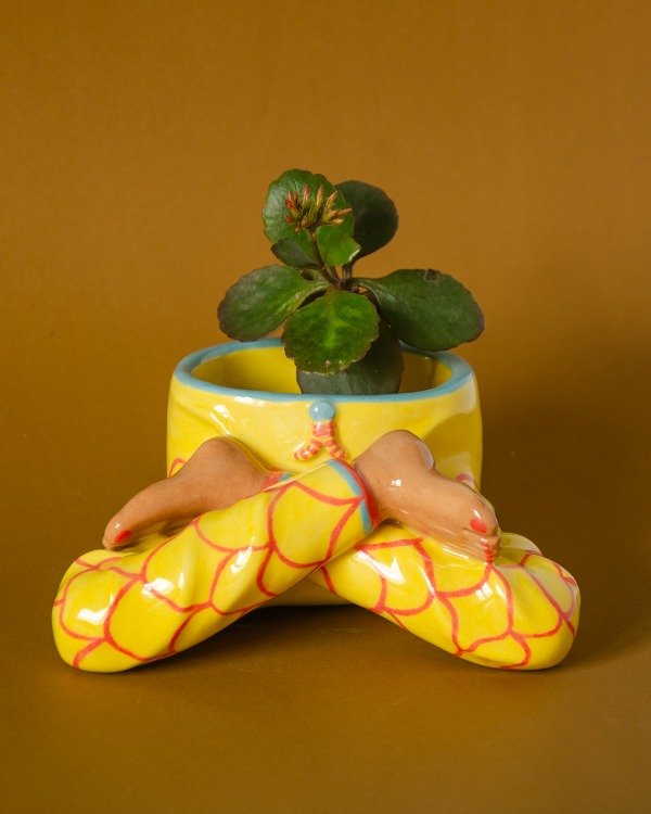 Producto - yogui amarilla