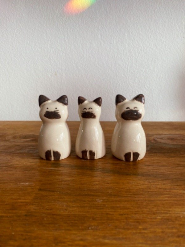 Producto - Gatitos siamés elegir modelo