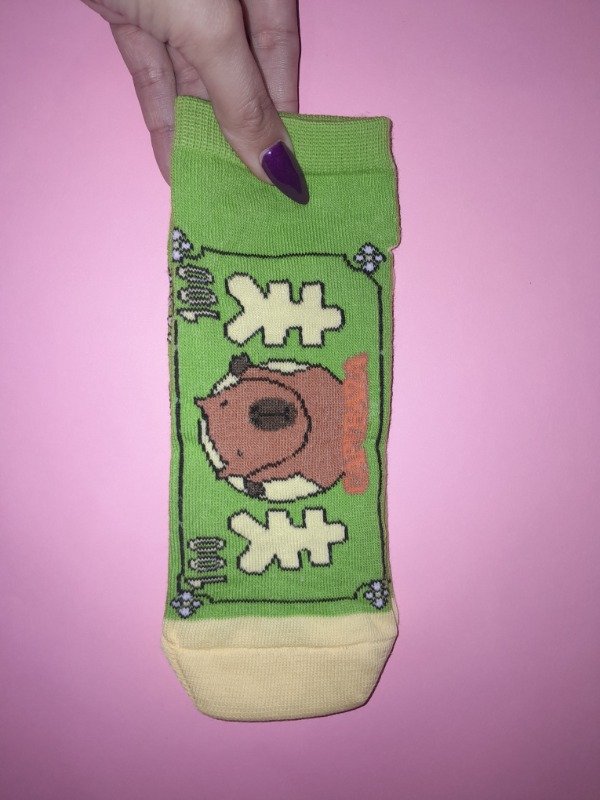 Producto - Capibara billete