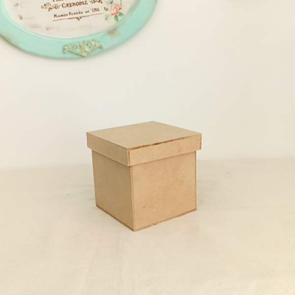 Producto - Caja tapa zapato 10x10x10