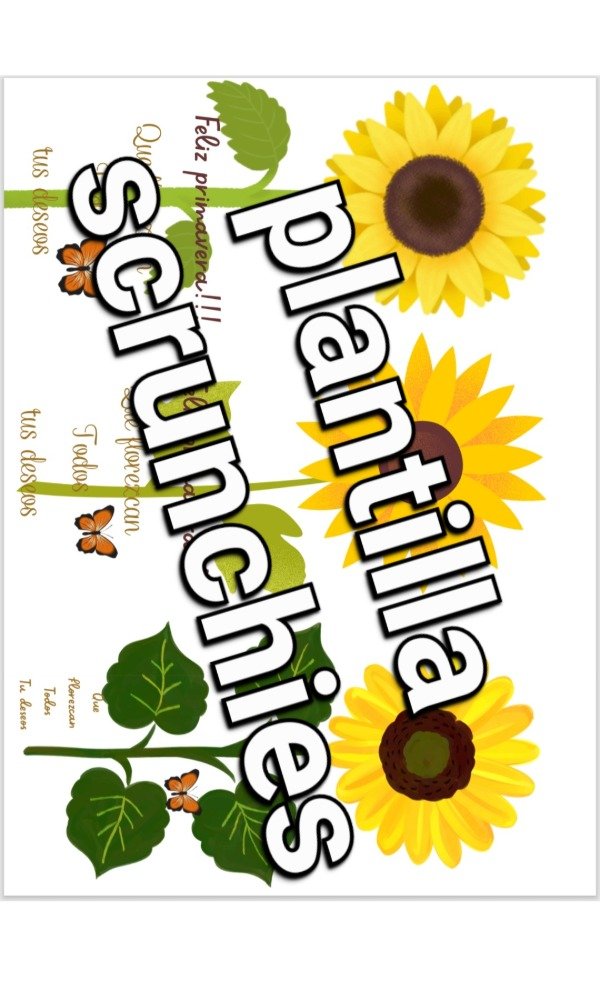 Producto - Plantilla flores scrunchies