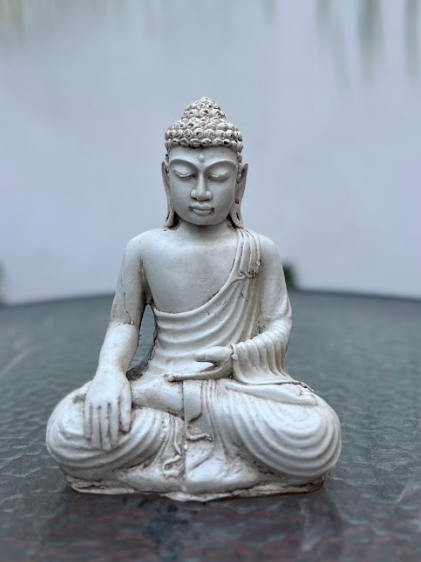 Producto - BUDA SUPERACION 20cm