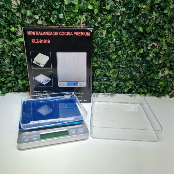 Producto - BALANZA DEE COCINA (0.1 - 3.000G)